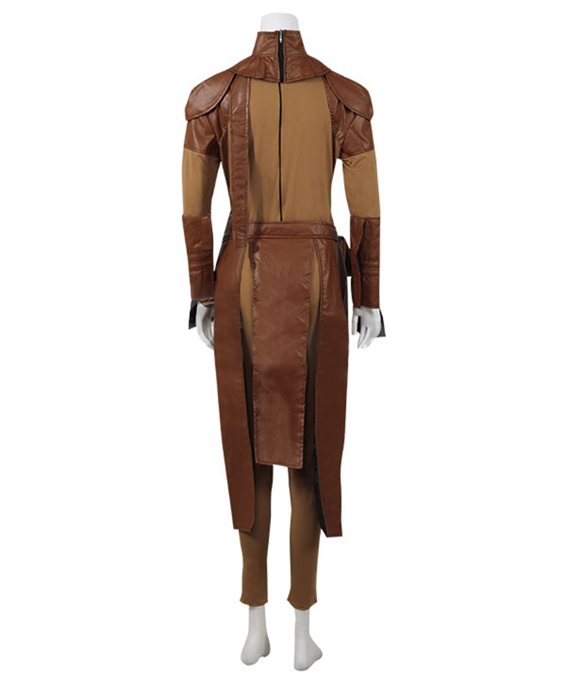 Бастила Шань, карнавальный кос – обзор и цена Women Knight Accessories